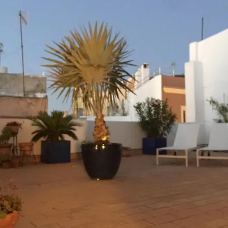 La Terraza De San Pedro Apartment